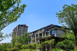 大平层园林景观
