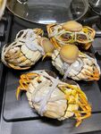 大闸蟹