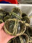 大闸蟹