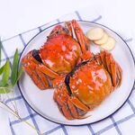 大闸蟹