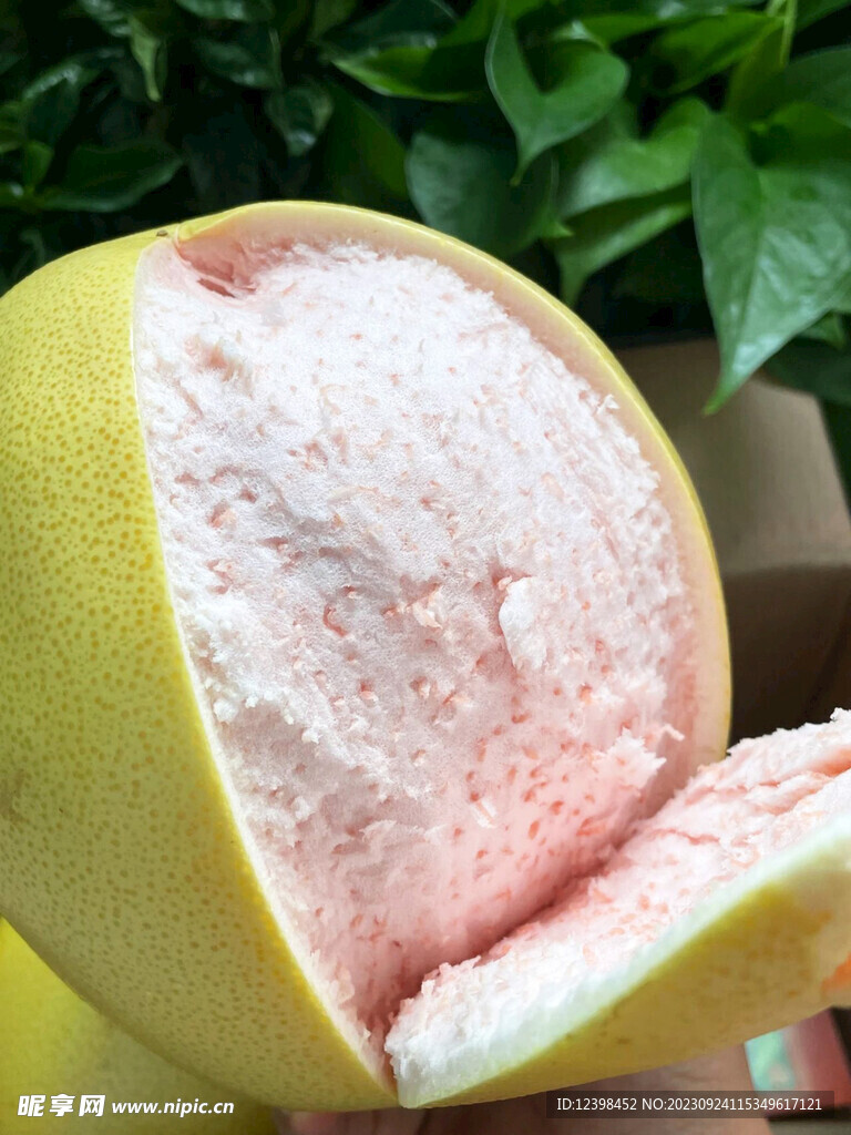 柚子