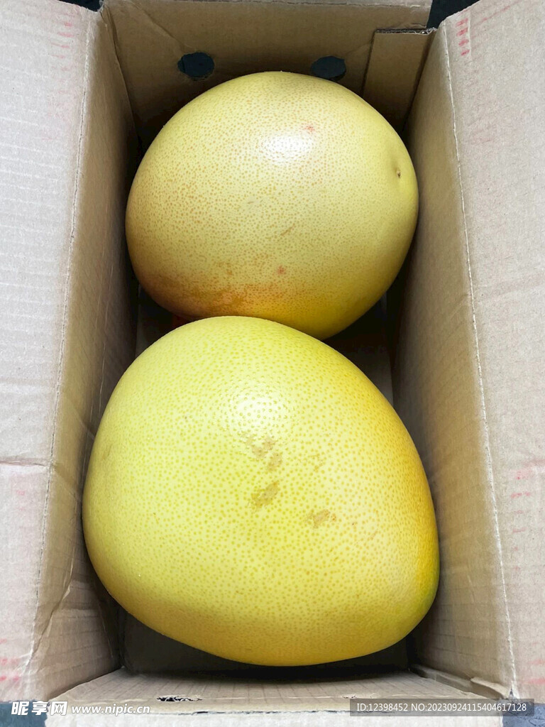 柚子