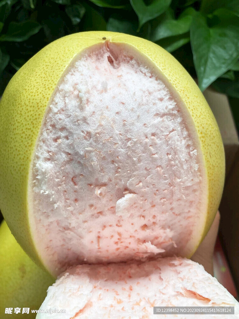 红心柚