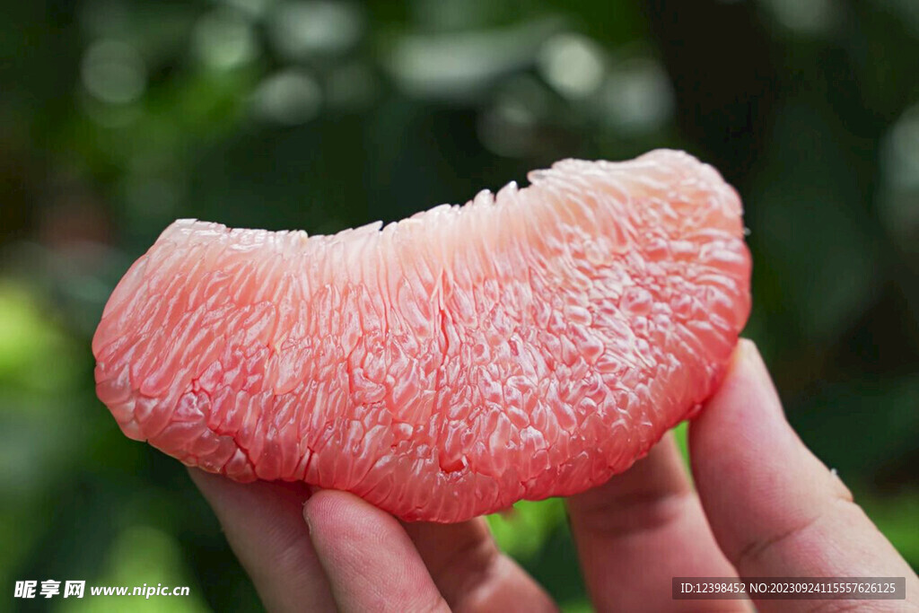 柚子