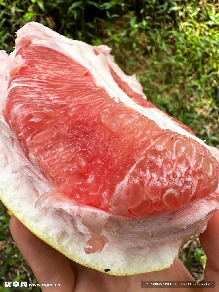 柚子