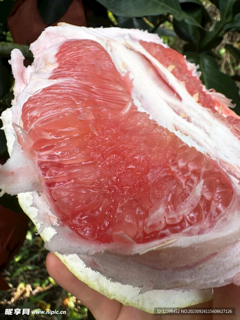柚子