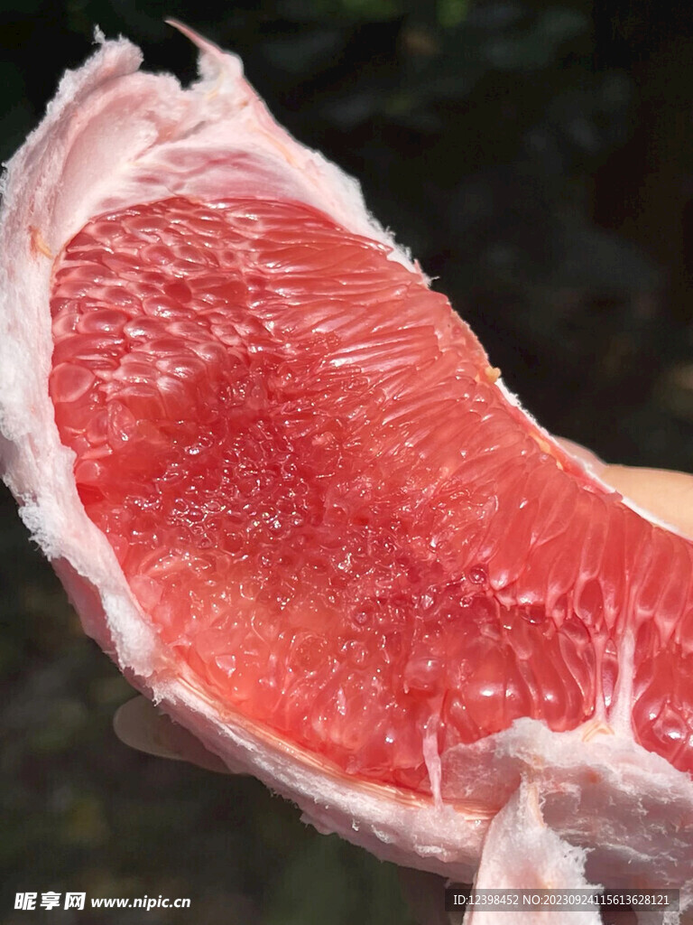 柚子