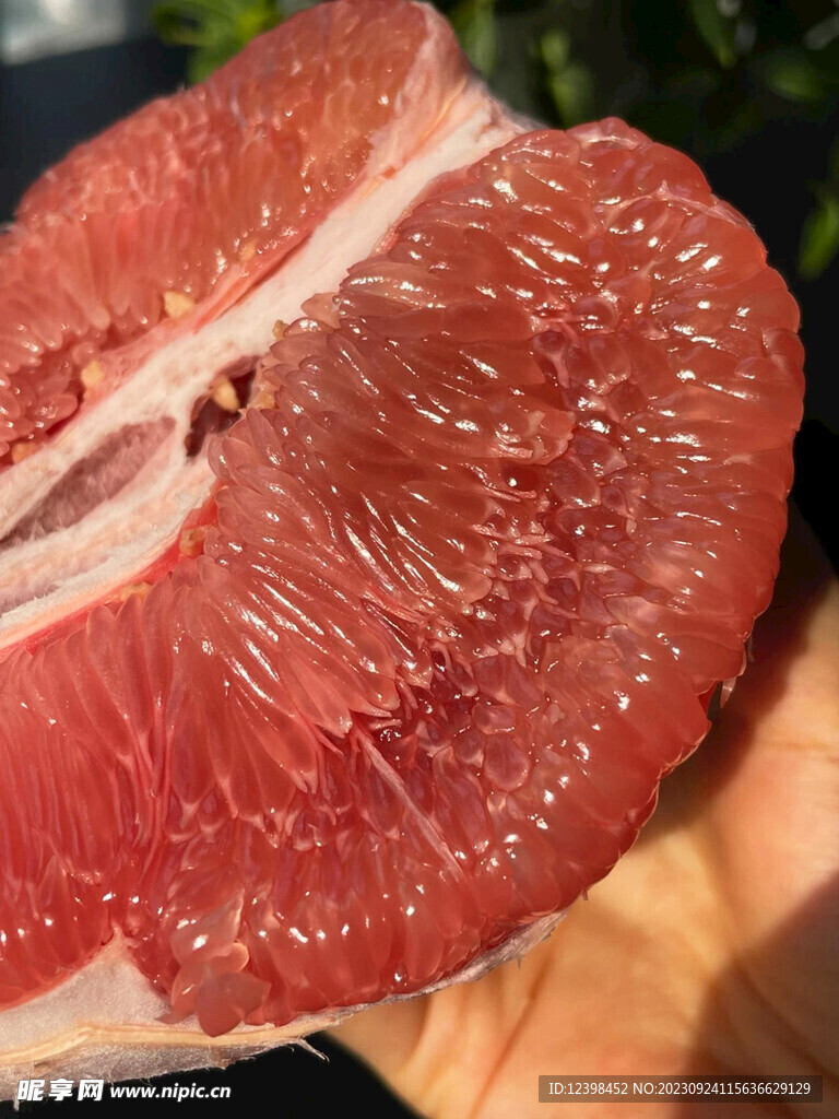 柚子