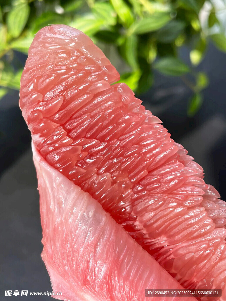 柚子