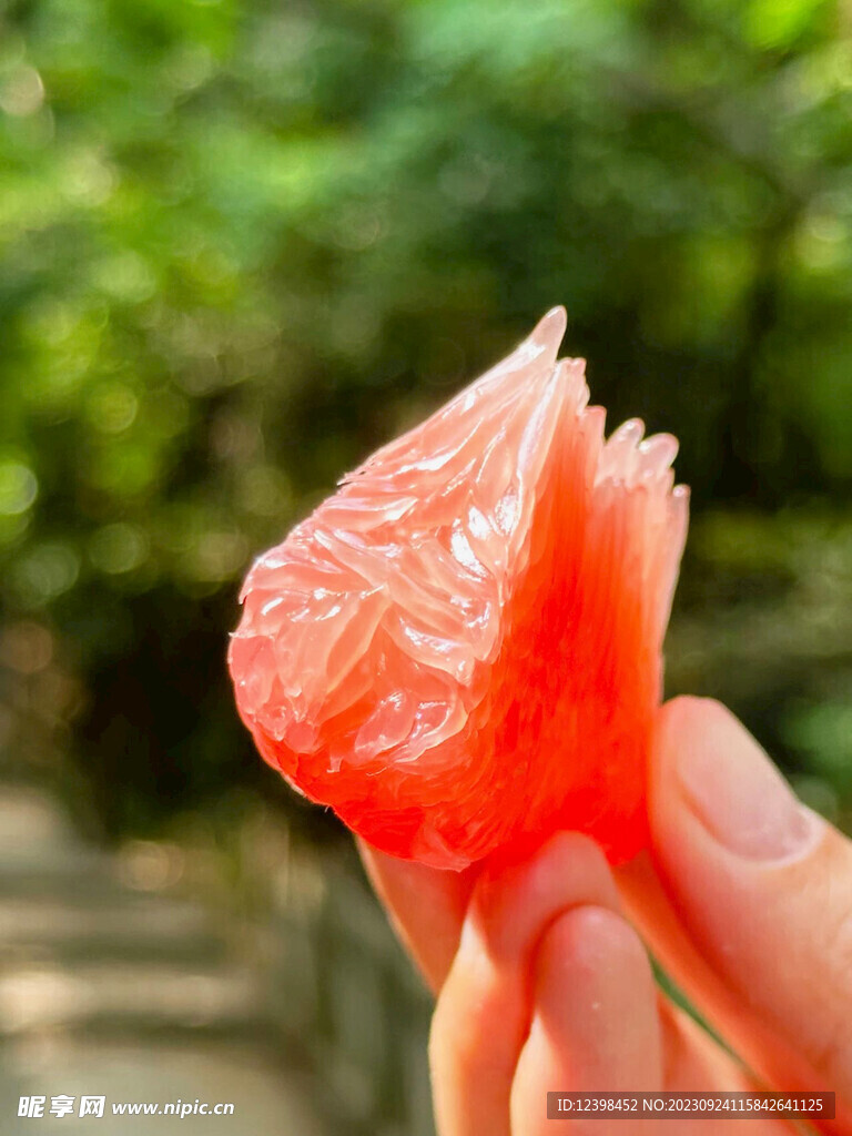 柚子