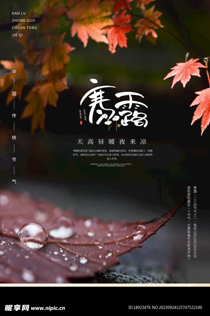 寒露模板