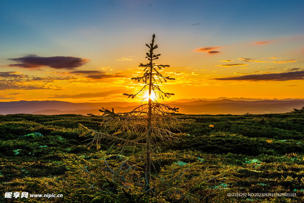 夕阳景