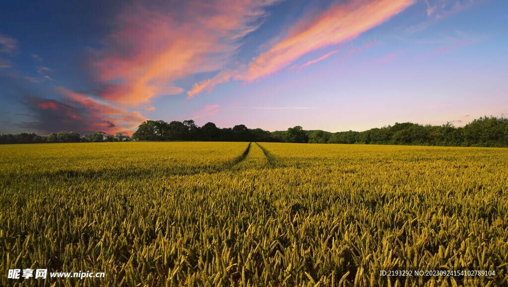 自然风景