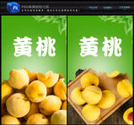 黄桃