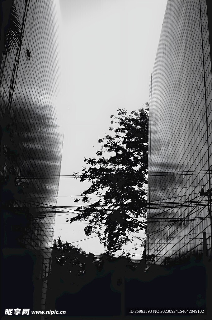 校园的记忆