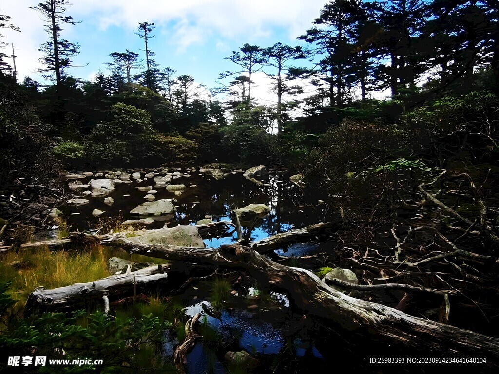 山涧流水