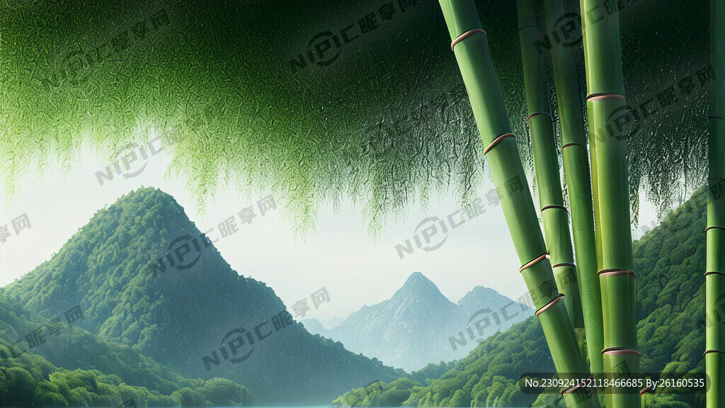 树竹子山水明亮