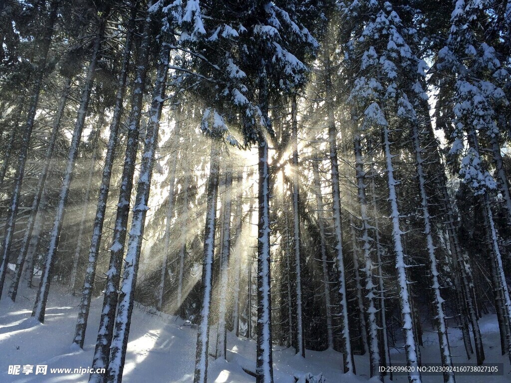 雪景