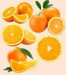 橙子素材免抠素材