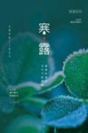 寒露海报