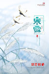 寒露海报 