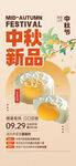 中秋月饼  