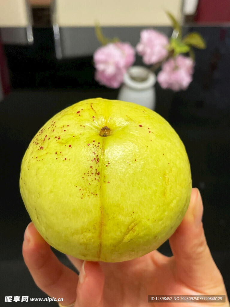 芭乐