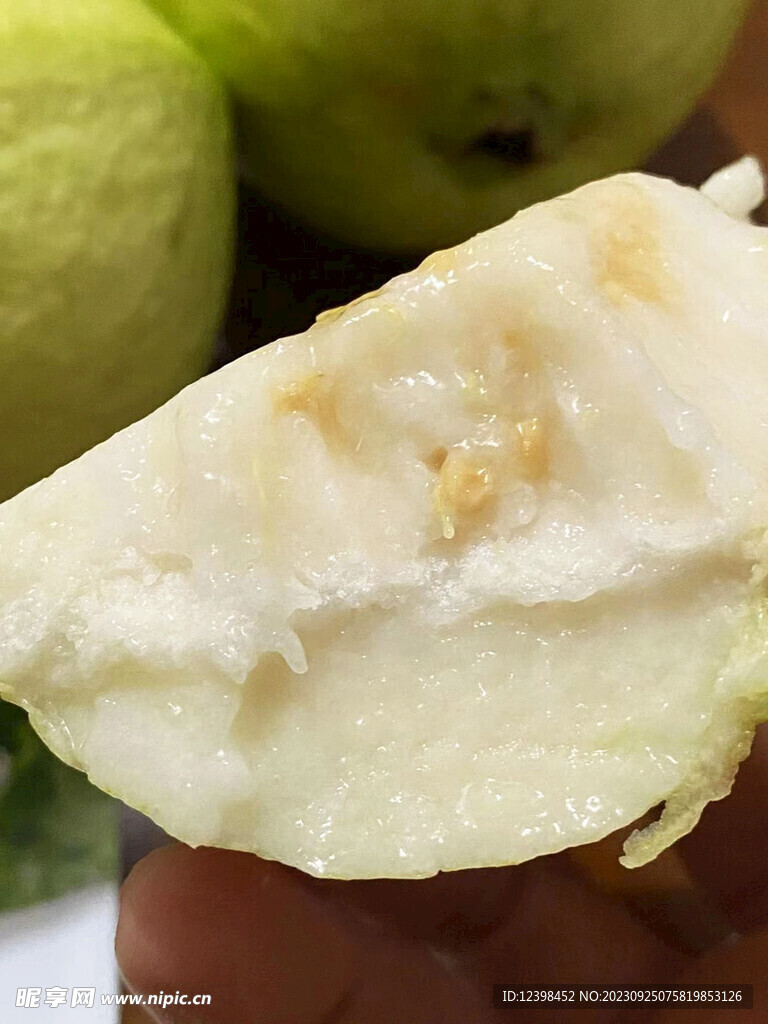 芭乐