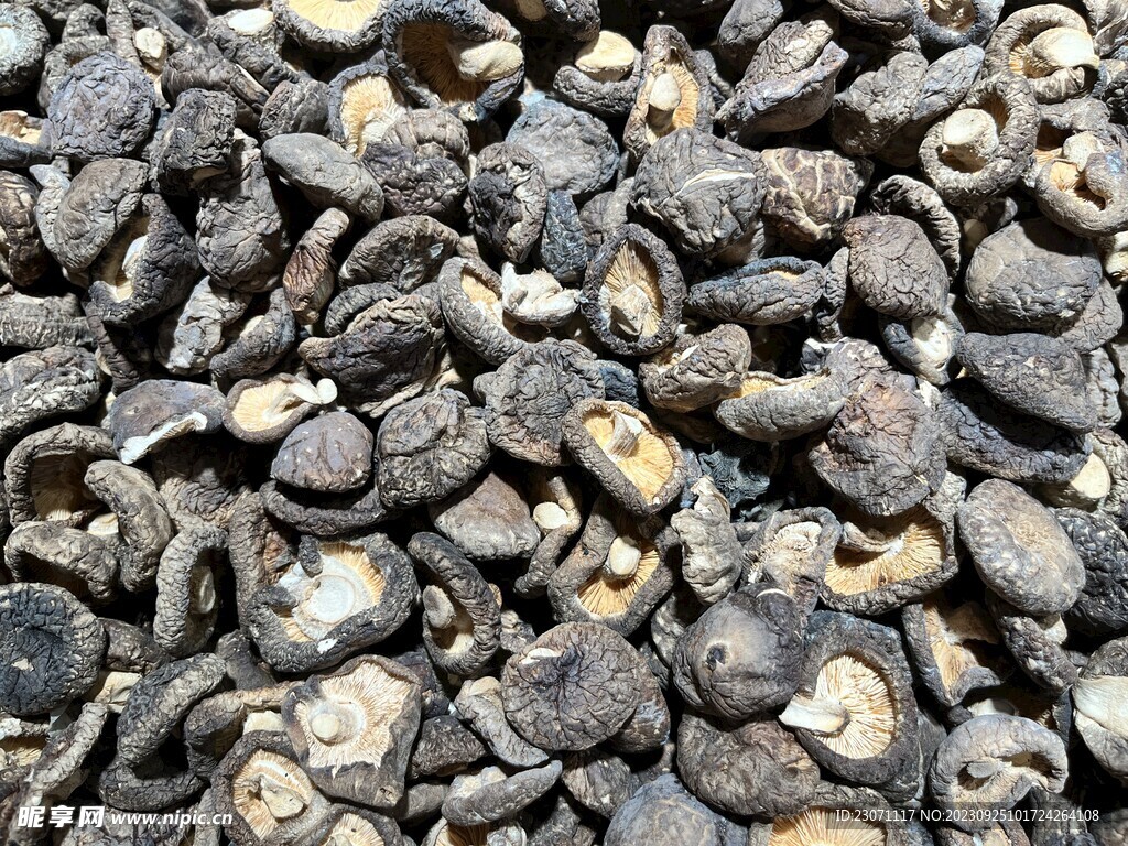 香菇干