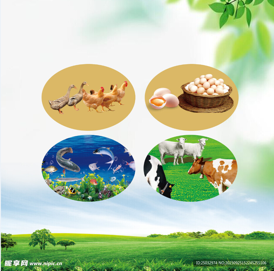 家禽 水产