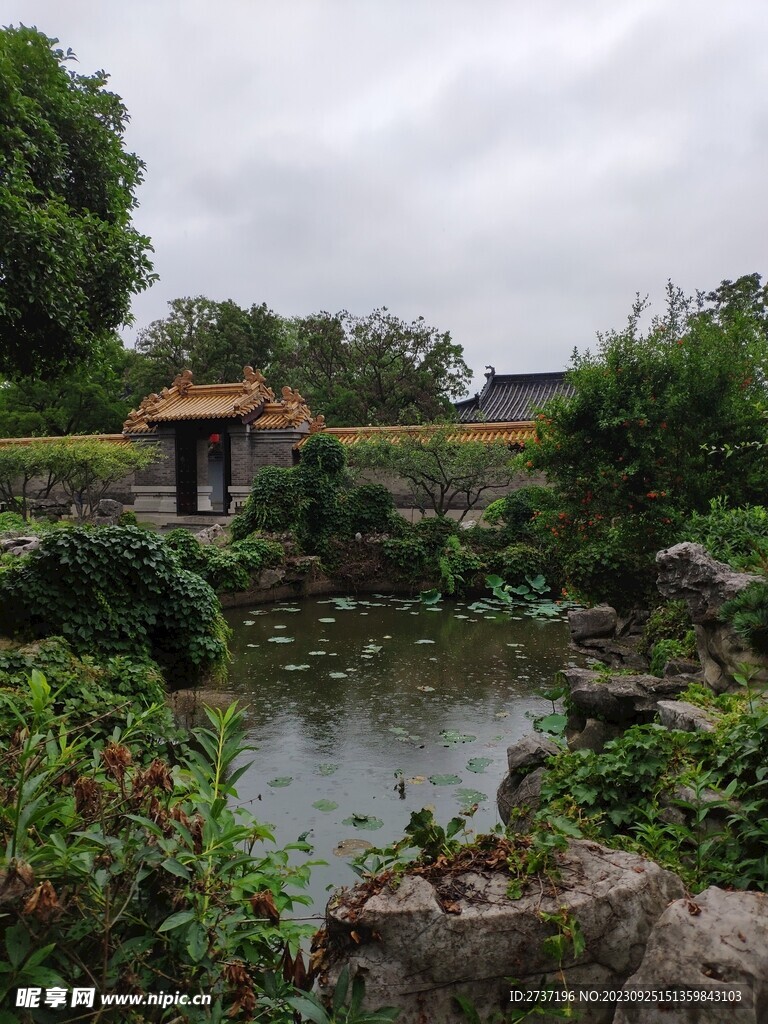 后花园