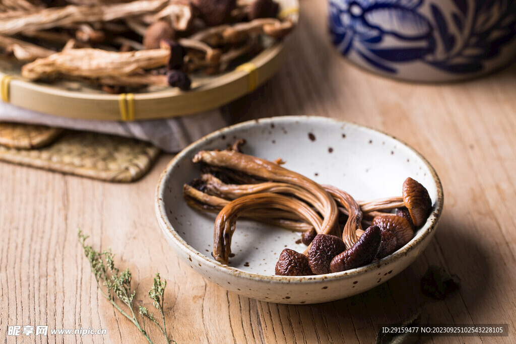            茶树菇 