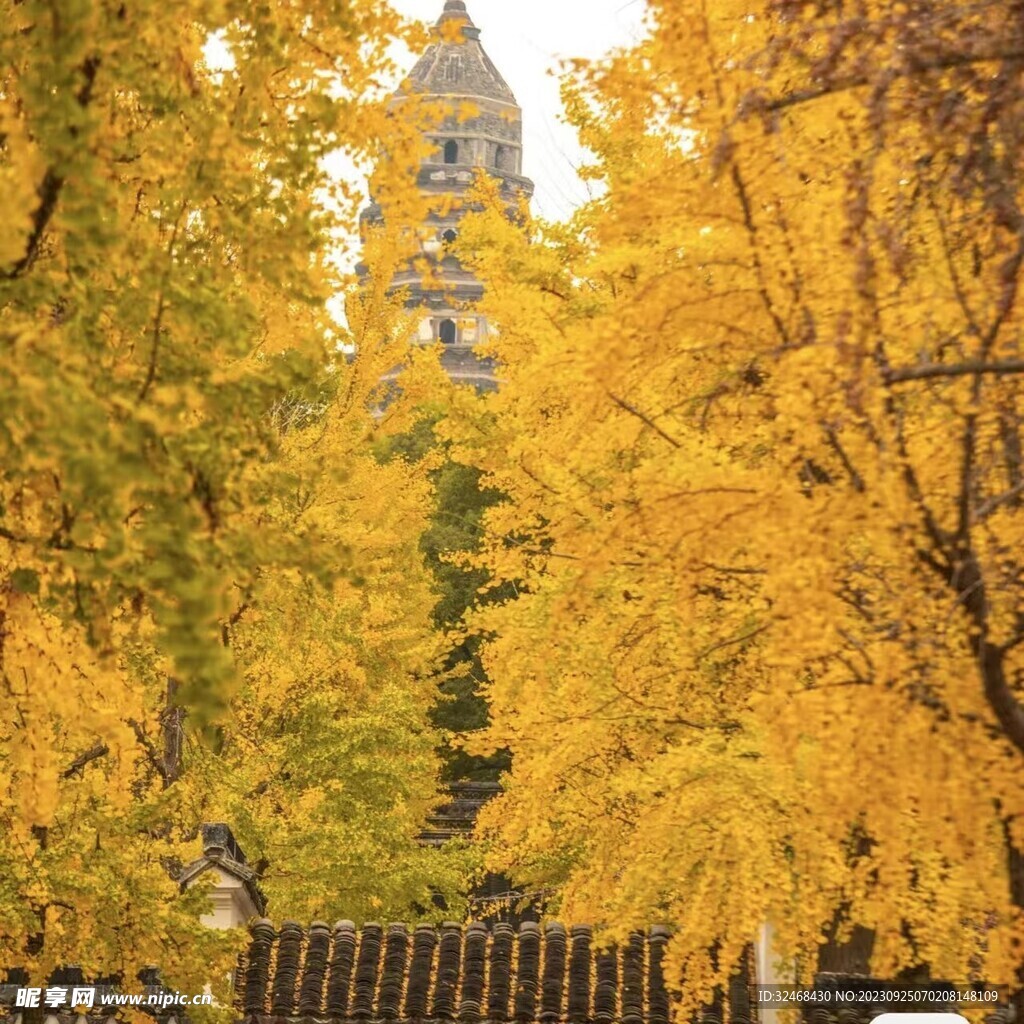 南京的风景