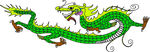 中国龙形图案         