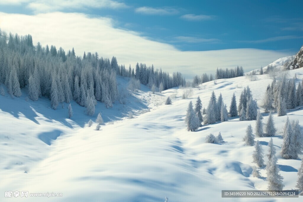 雪景