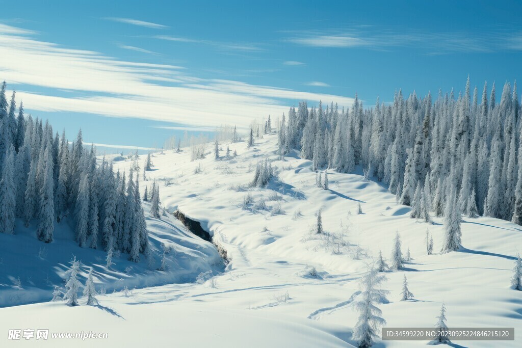 雪景