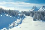 雪景