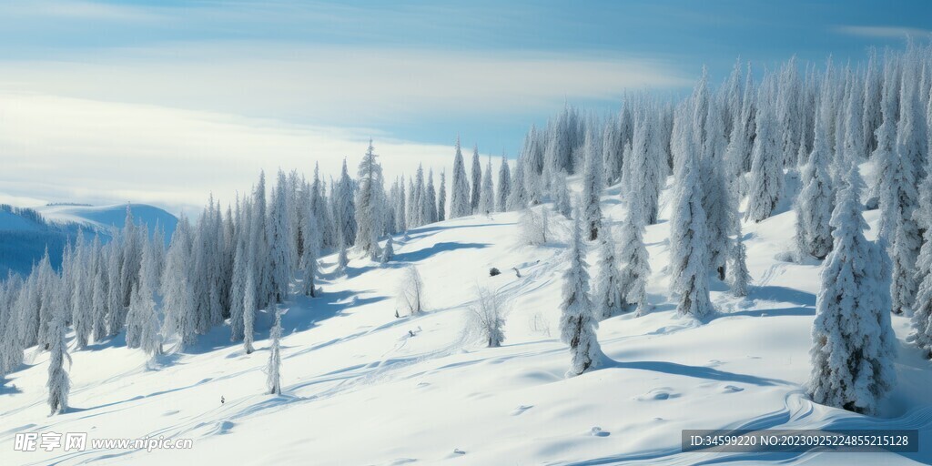 雪景