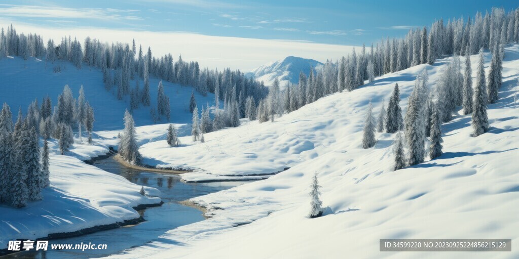 雪景