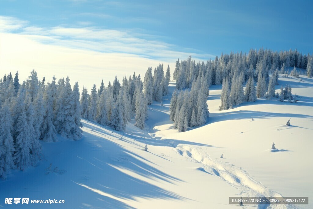 雪景