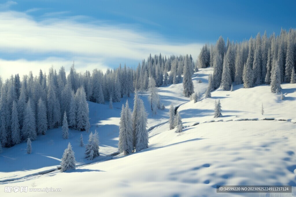 雪景