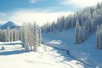 雪景