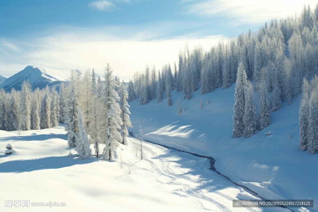 雪景