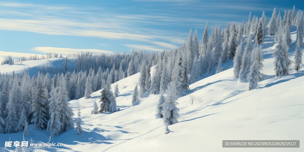 雪景