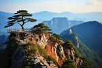 迎客松 