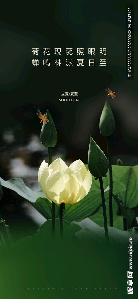 小暑