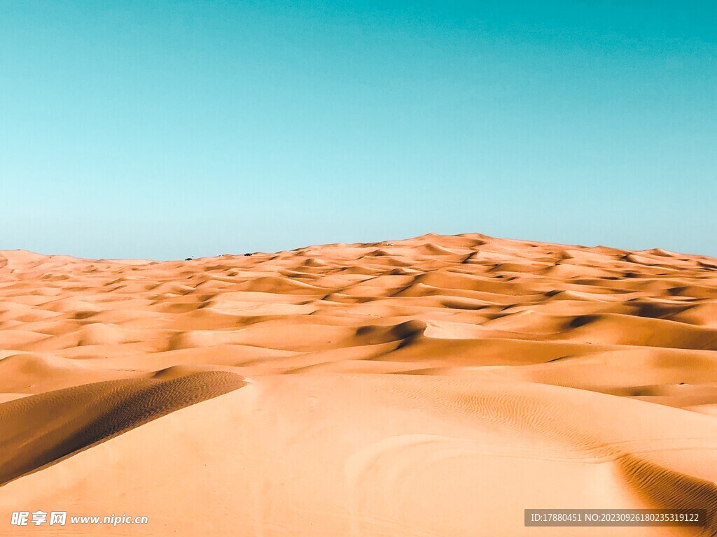 沙漠
