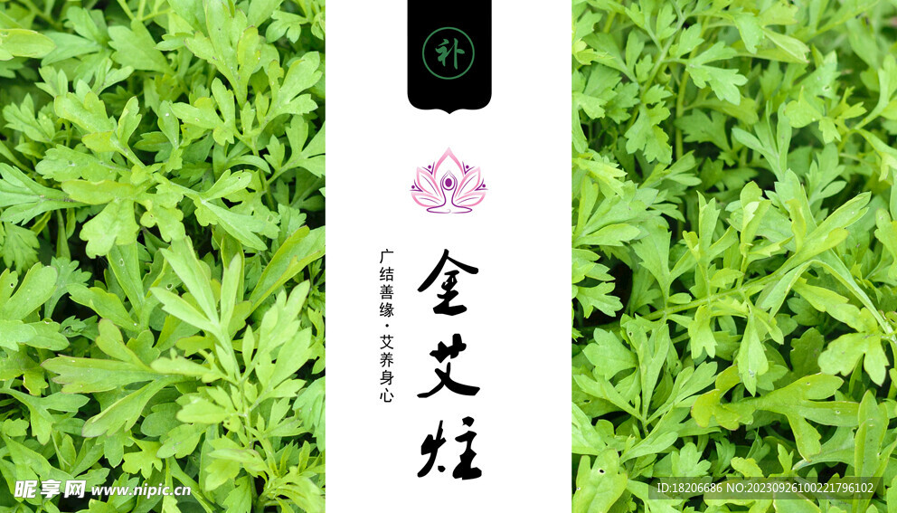 金艾炷按摩养生背景
