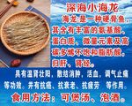 深海小海龙