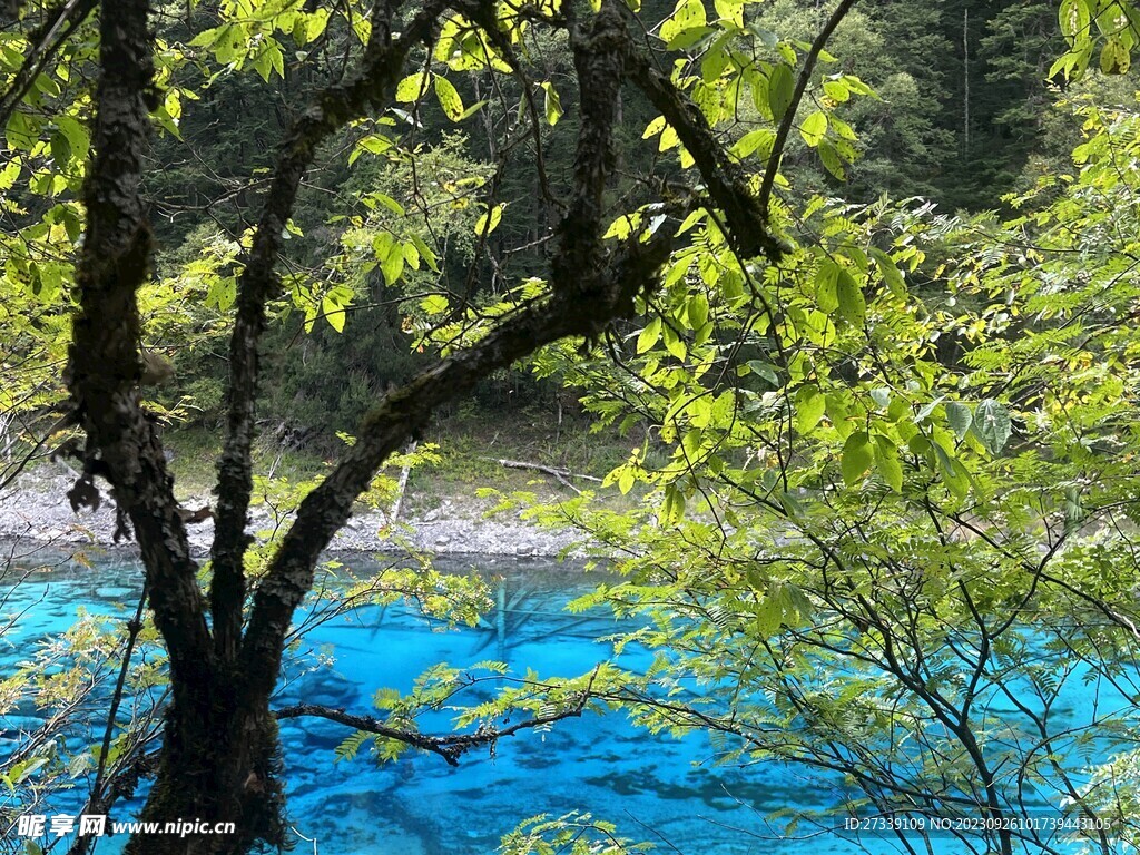 九寨沟山水